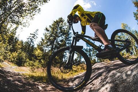 Folding Bike vs Mountain Bike