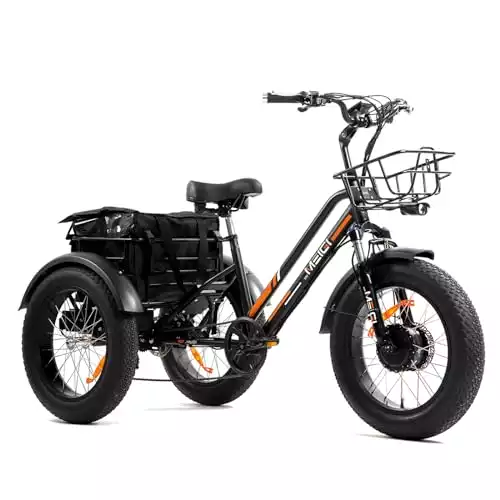 DWMEIGI 3 Wheel Electric Bike for Adult with 750W Motor
