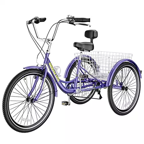 SLSY 3 Wheel Bike (20-inch wheels)