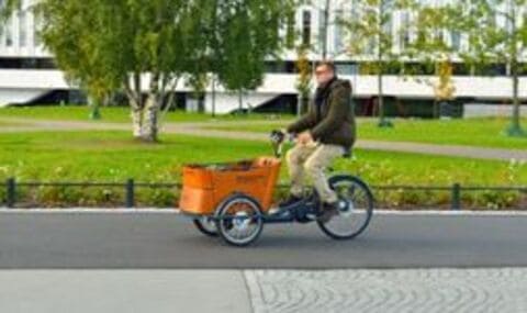 Adult Tricycle Carrying Capacity