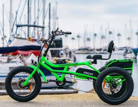 Best Electric Tricycle For Heavy Adults