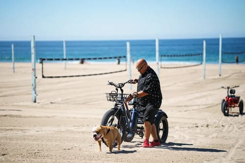 E-Trikes Are Environmentally Friendly and Sustainable
