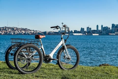 Best Electric Tricycle for Seniors: 7 Expert Picks for 2023