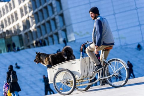 How To Choose A Foldable Tricycle For Adults