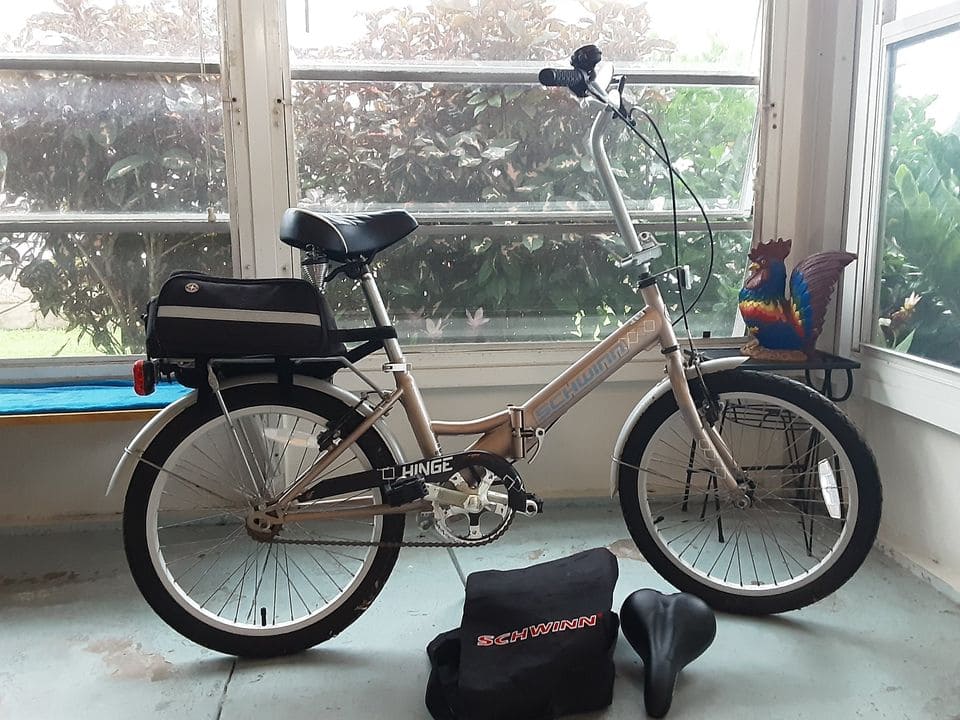 Schwinn Hinge