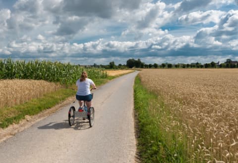 The Best Foldable Tricycle