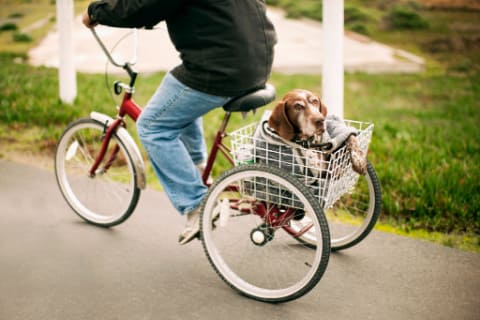 What Are The Benefits Of A Tricycle